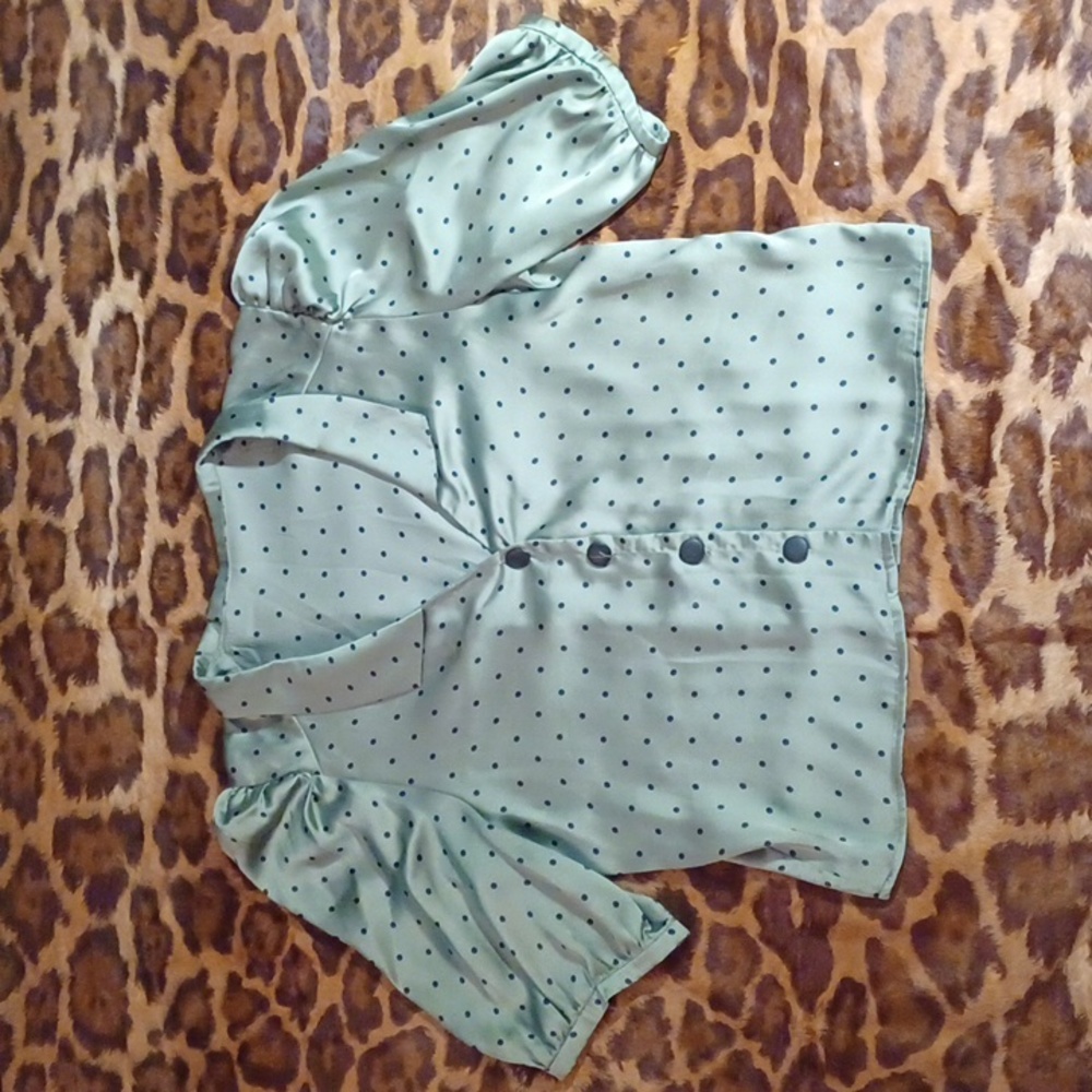 Zara polkadot satin blouse, M